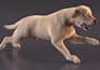 create and rig 3d animal, bird rig, 3d monster creature rig for game, animation